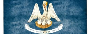 Louisiana Flag