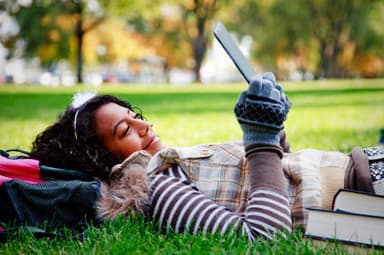 All About Government Debt Consolidation Loans