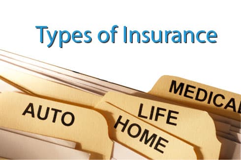 Insurance Basics