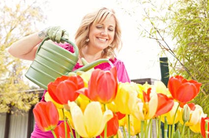 Credit Card & Debt Relief