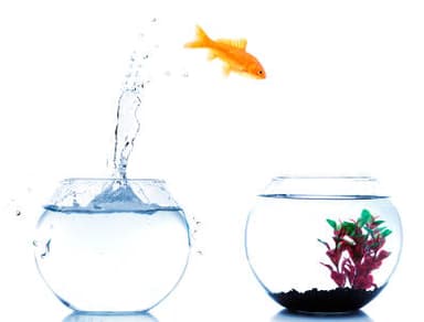 Get Debt Relief