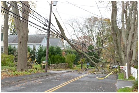 Coping with Hurricane Sandy | Beyond Hurricane Insurance